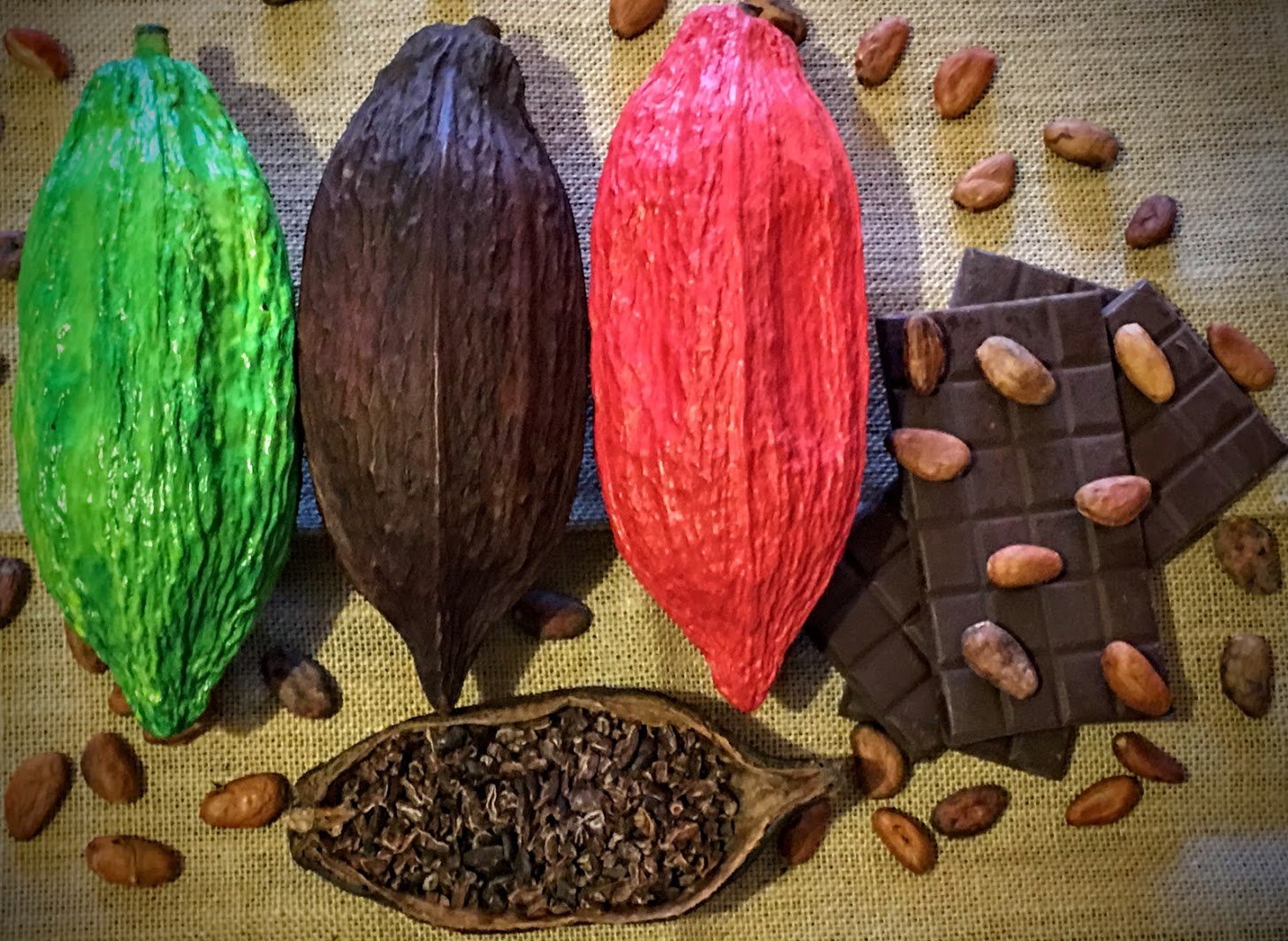 Dried Cocoa Pods